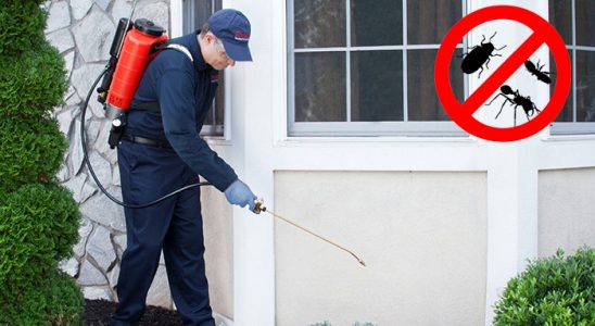 Havza Tahtakurusu İlaçlama böcek ilaçlama ve haşere kontrolü — ilaclama-tr.com
